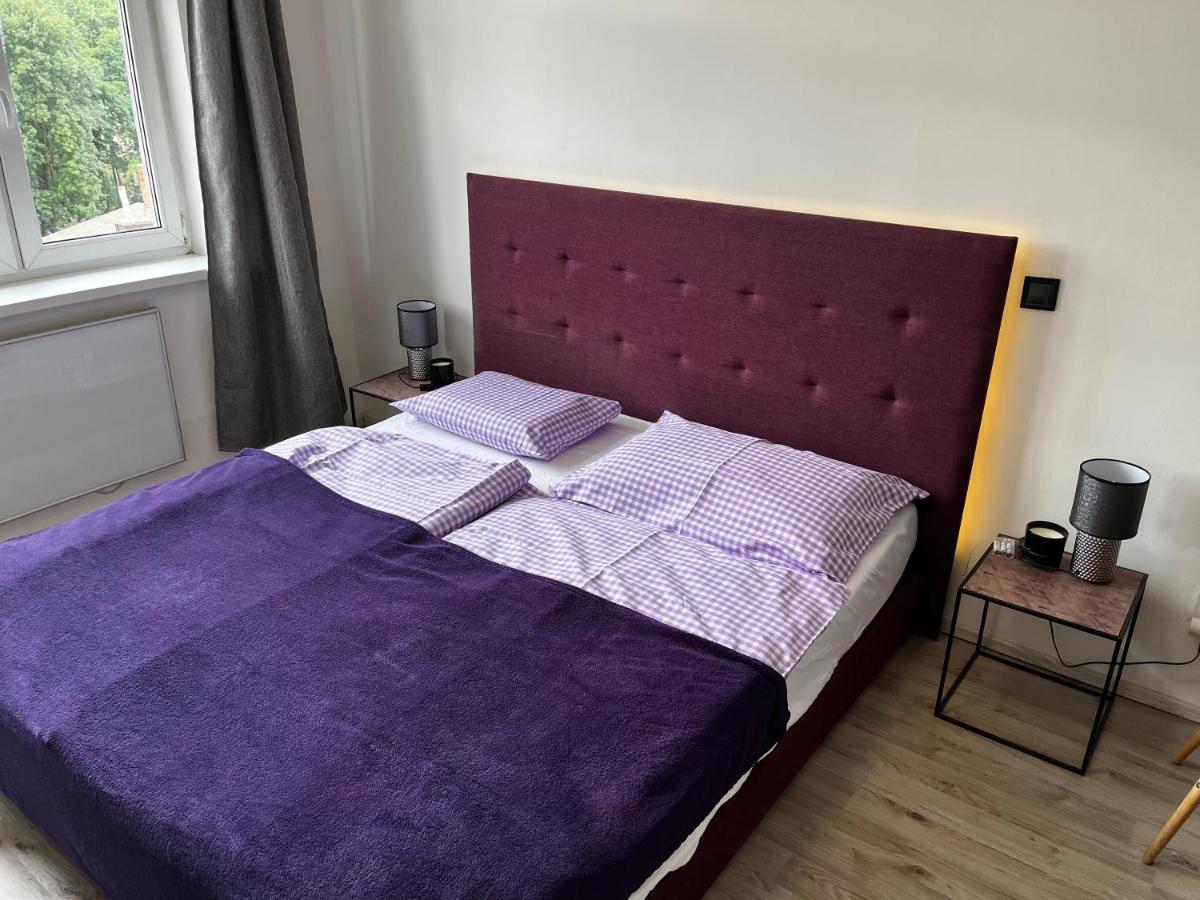 Large 3 Bedroom Apartment With City Skyline View 카를로비바리 외부 사진